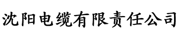 亚洲中字永久一区二区三区电缆厂logo